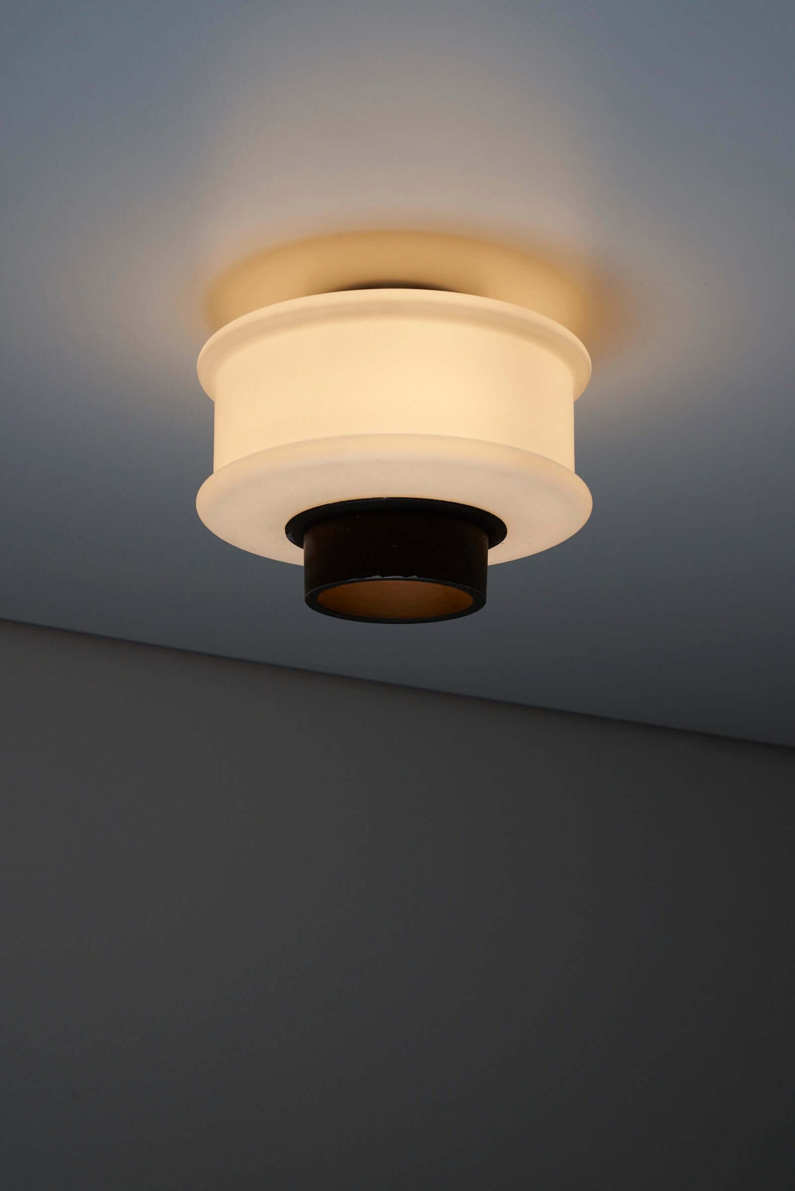 Modern flush mount ceiling light fixture with sleek black and white design providing ambient lighting.