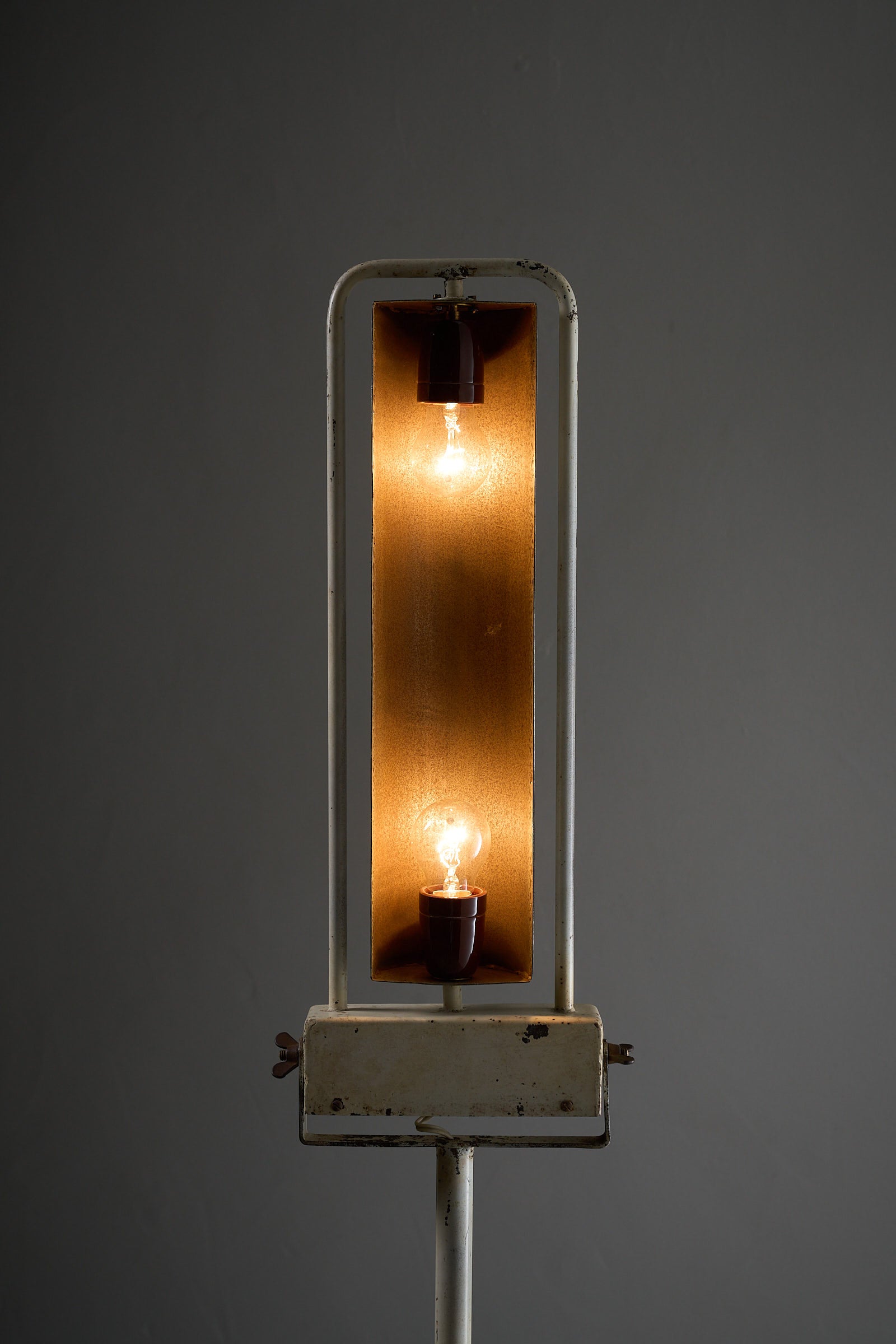 Industrial Medical Floor Lamp, Adjustable Enamel and Metal Construction with warm lighting and enameled steel design.