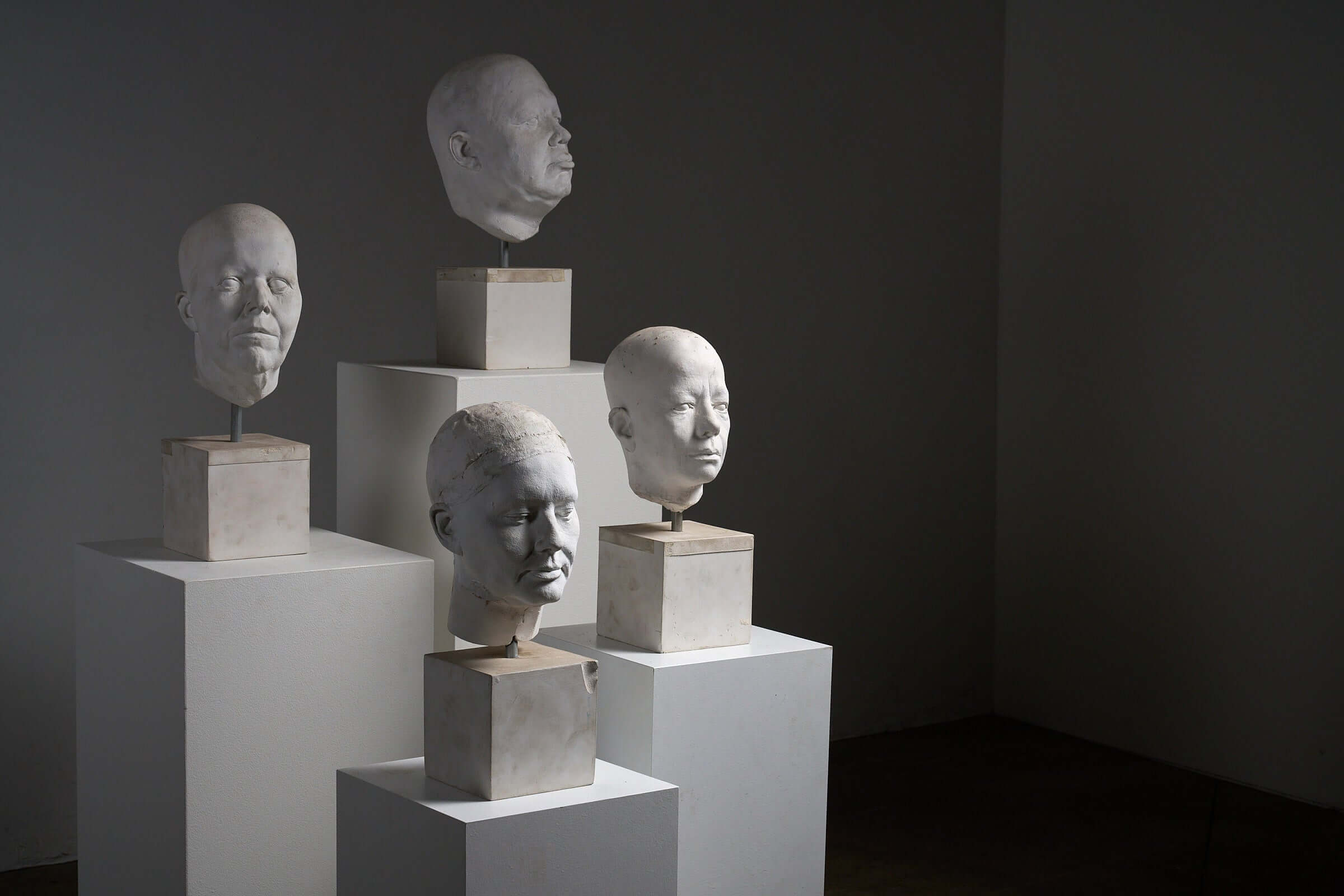 Set of Four Plaster Heads on Plinths displayed in a minimalistic art space.