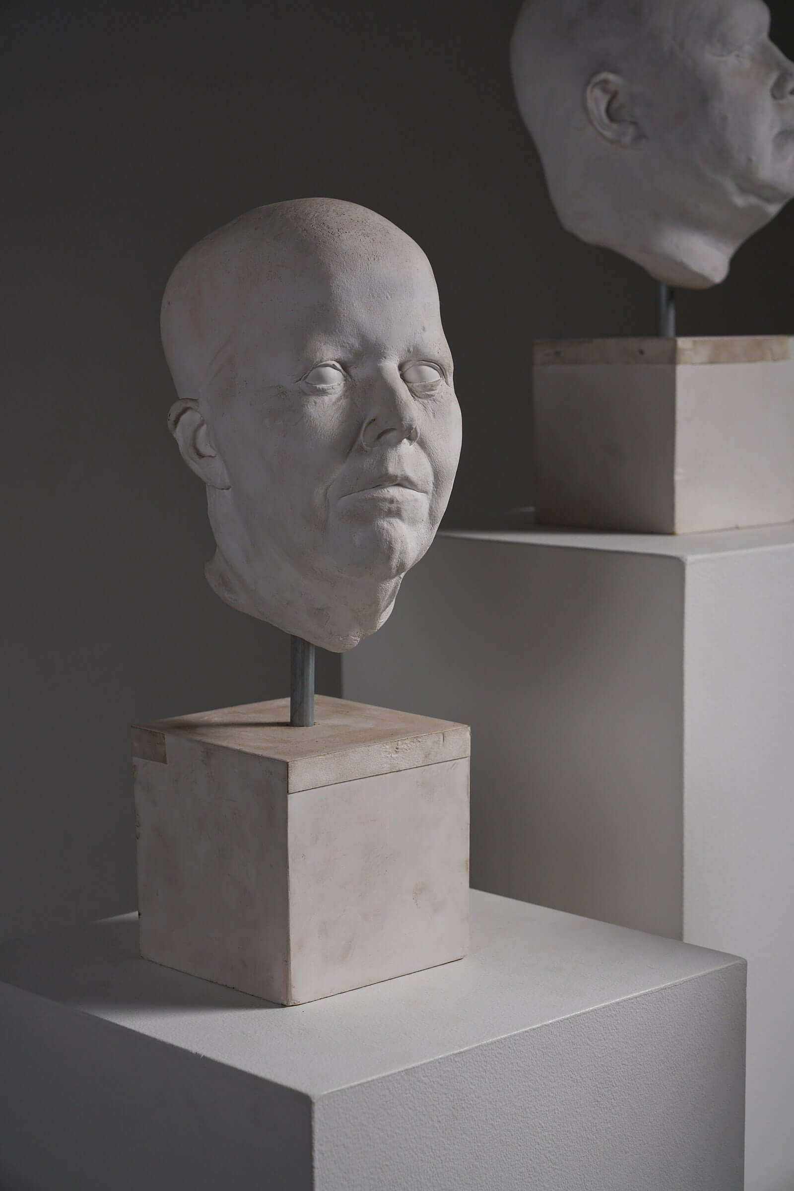 Set of Four Plaster Heads on Plinths displayed on white pedestals under soft lighting.