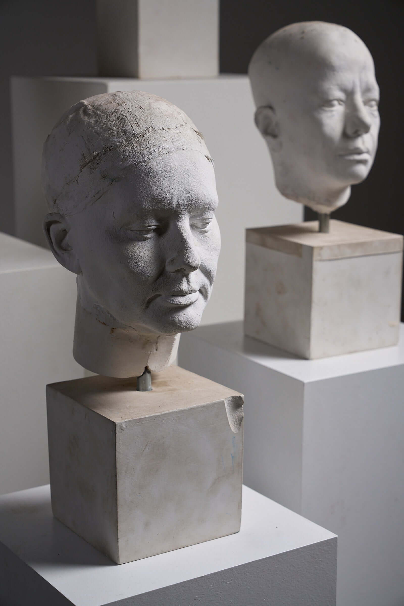 Set of Four Plaster Heads on Plinths displayed on modern pedestals in an artistic setting.