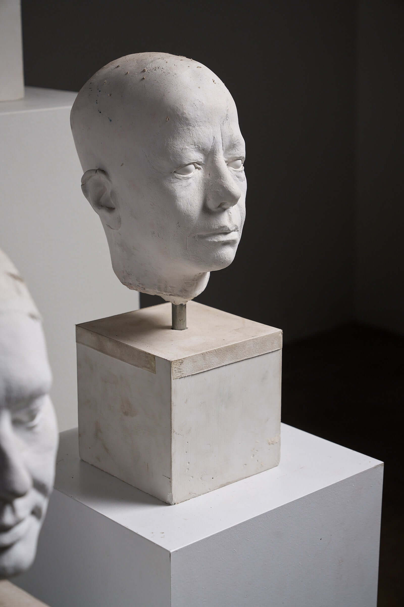Set of Four Plaster Heads on Plinths displayed on stands in an art space.