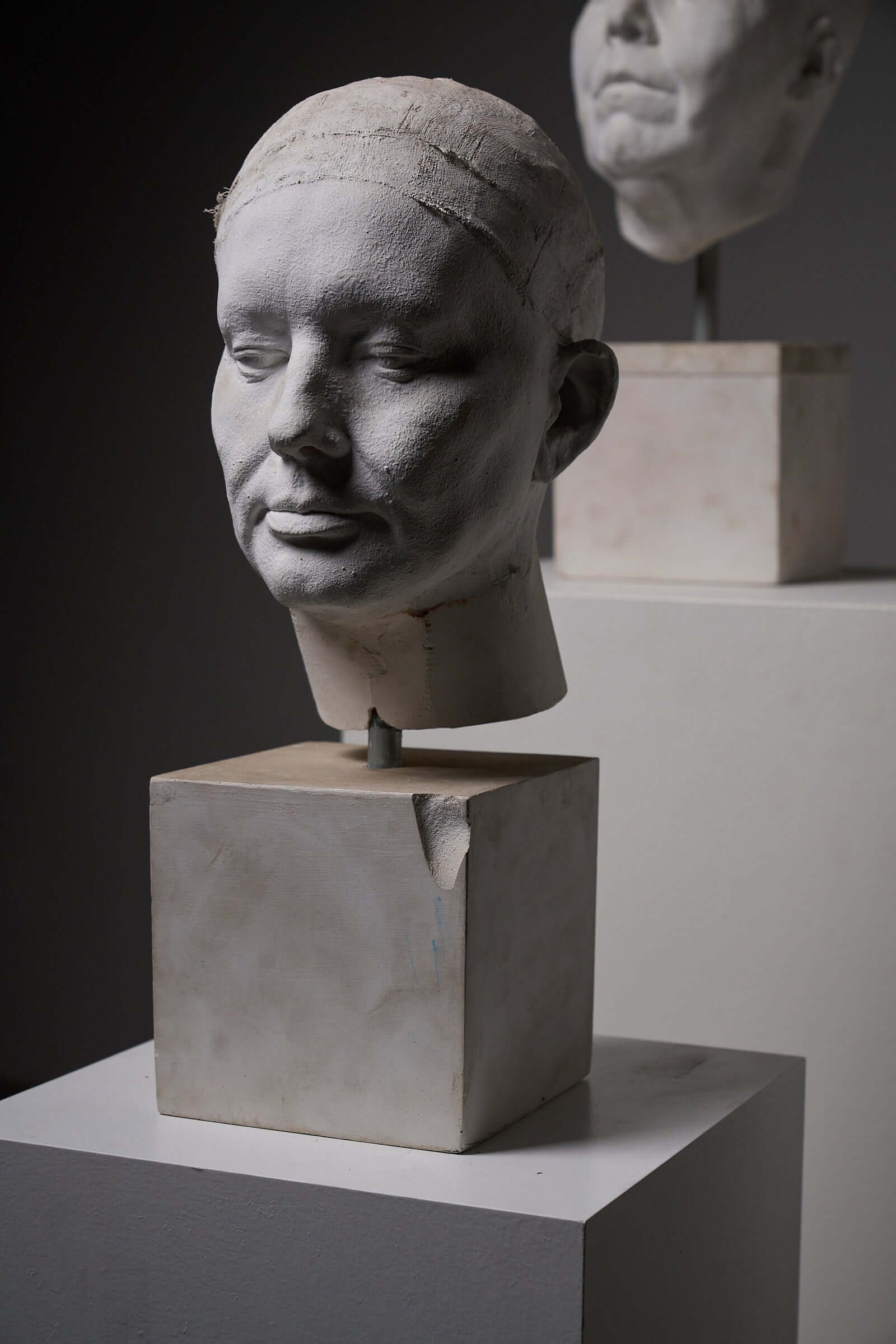 Set of Four Plaster Heads on Plinths displayed on pedestals with a minimalist backdrop.