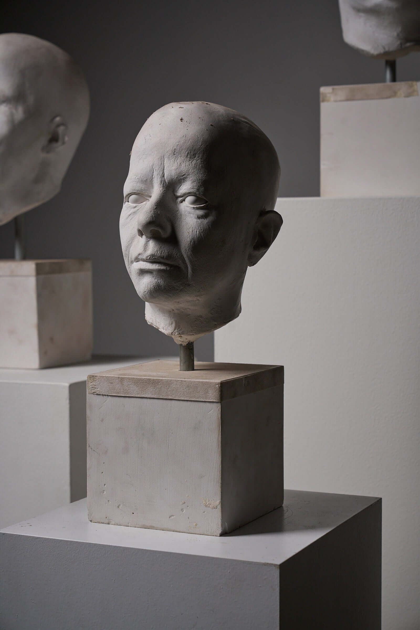 Set of Four Plaster Heads on Plinths displayed in an art space, highlighting unique character features.