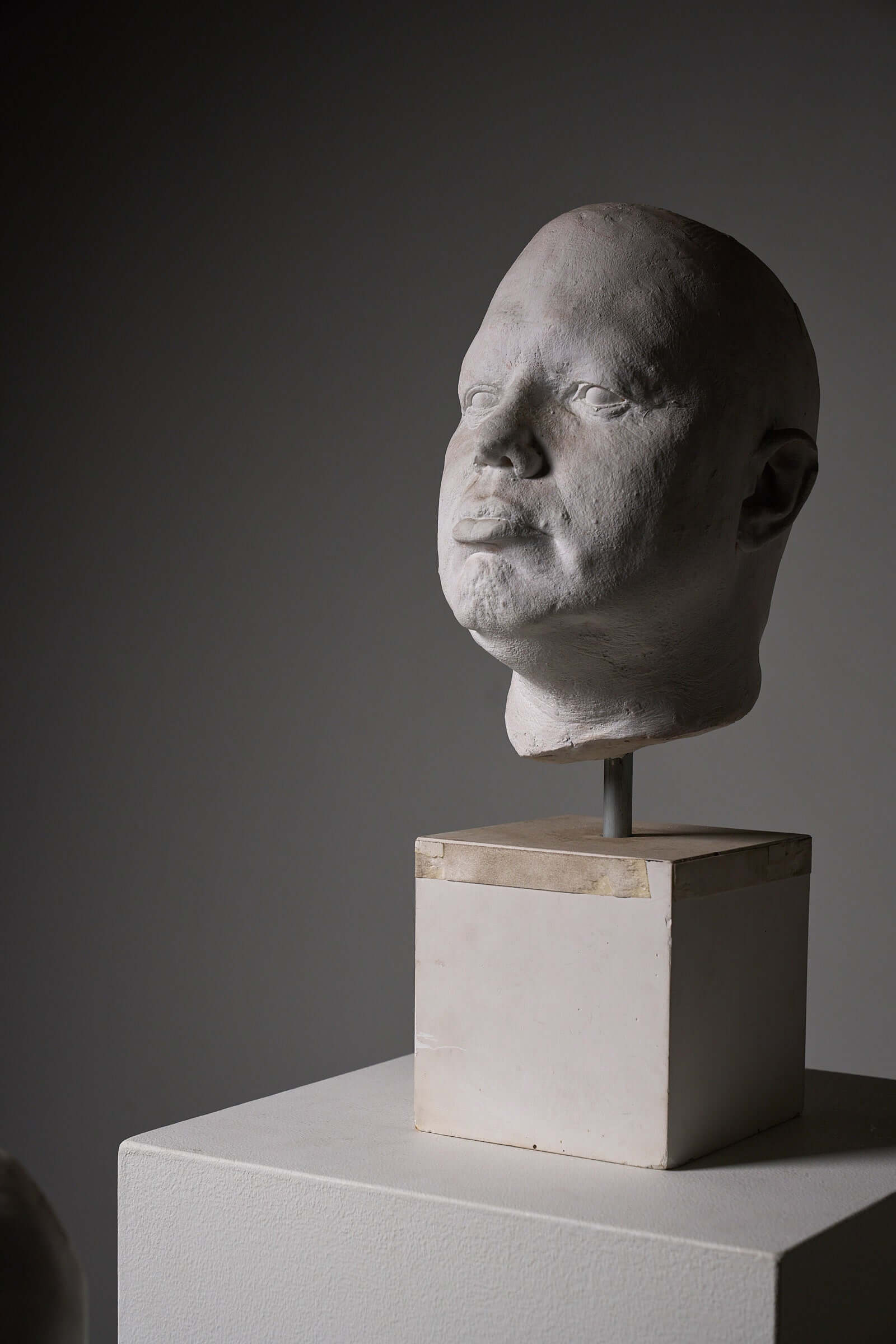 Set of Four Plaster Heads on Plinths displayed in a contemporary art setting.