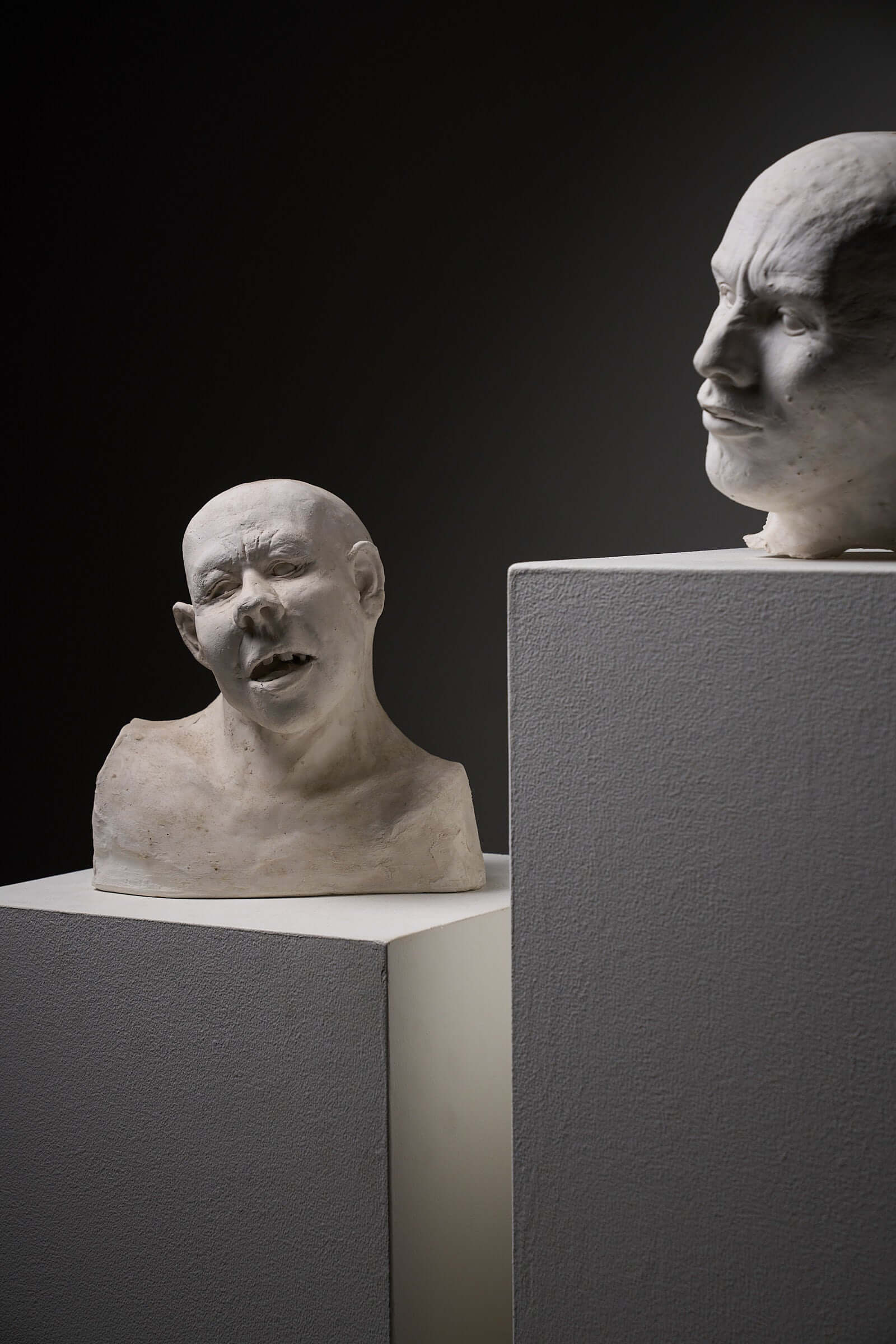 Set of Two Plaster Heads on Plinths showcased in a dramatic lighting setting.