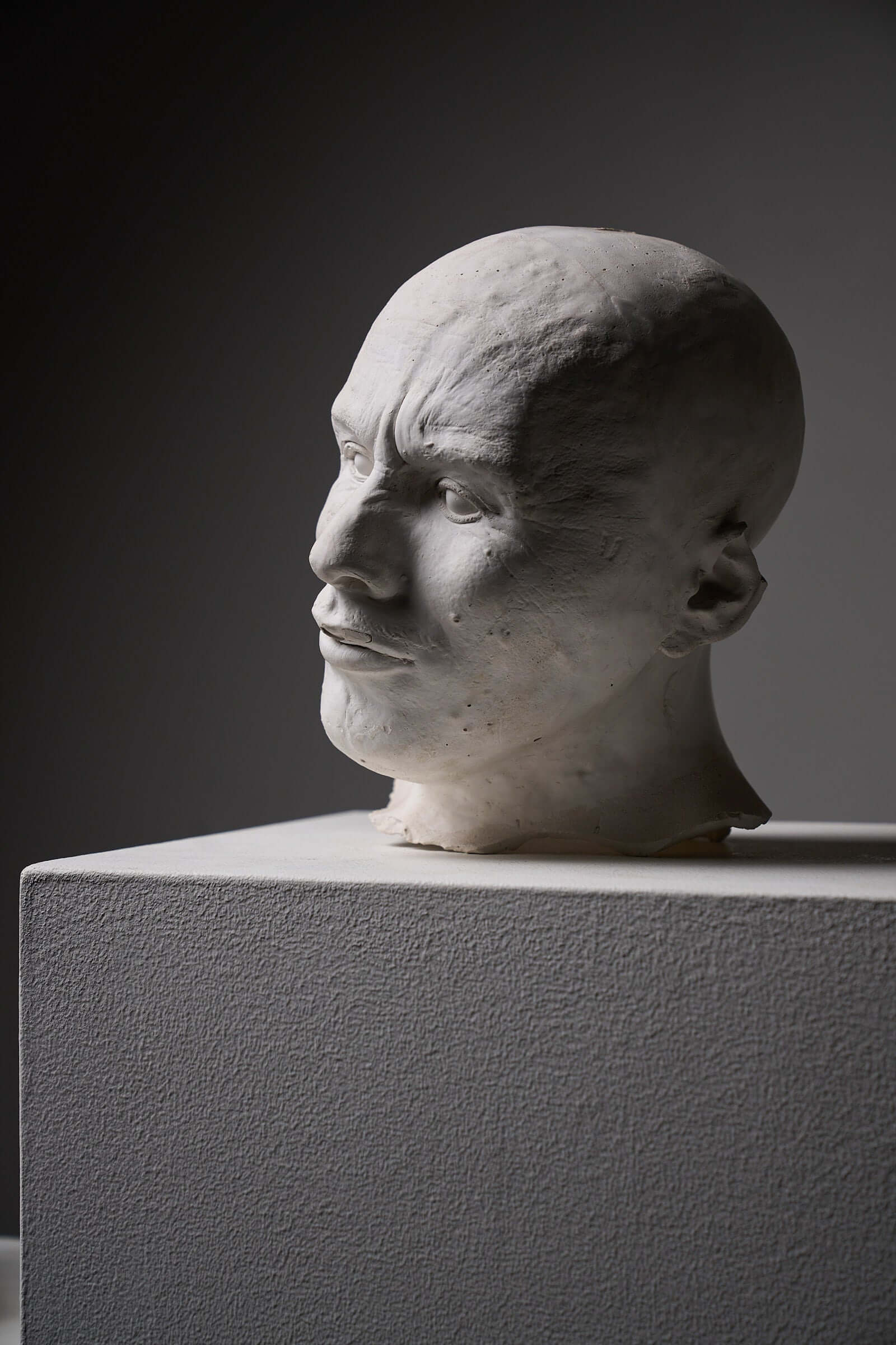 Set of Two Plaster Heads on Plinths, detailed side profile of a plaster head sculpture on display.