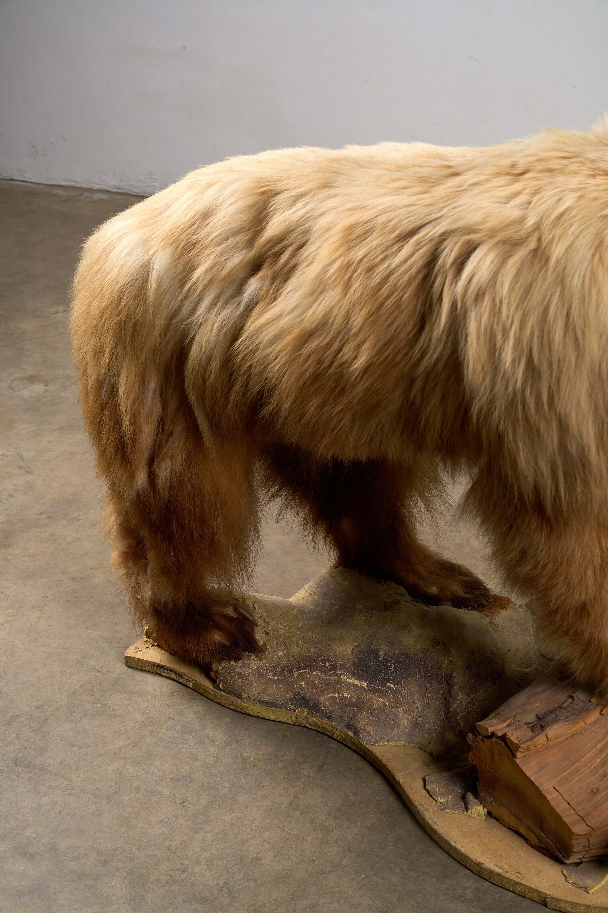 Mounted Bear on Naturalistic Base Vintage Taxidermy showcasing detailed fur and naturalistic base.