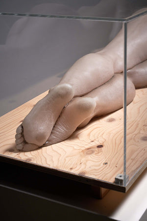 Hyperrealistic Wax Model Under Plexiglass